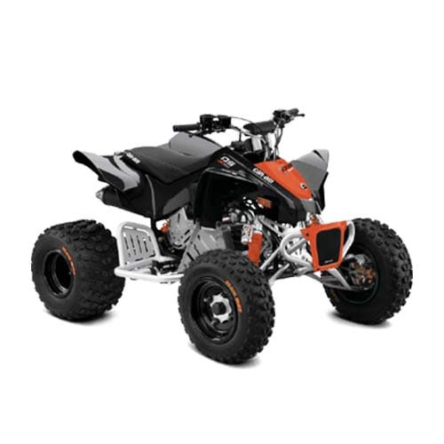 Can-Am DS X 90 '20