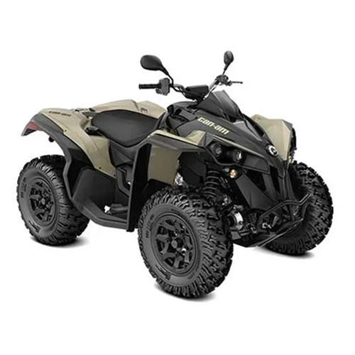 Can-Am Renegade DPS 650 T '21