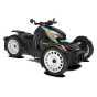 Can-Am Ryker Rally 900 ACE '22